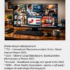 SIDŁA INTERNETU - Czy możesz się w nie uwikłać?