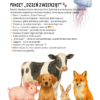 Dzień Zwierząt