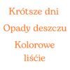 Zwiastuny jesieni- gazetka